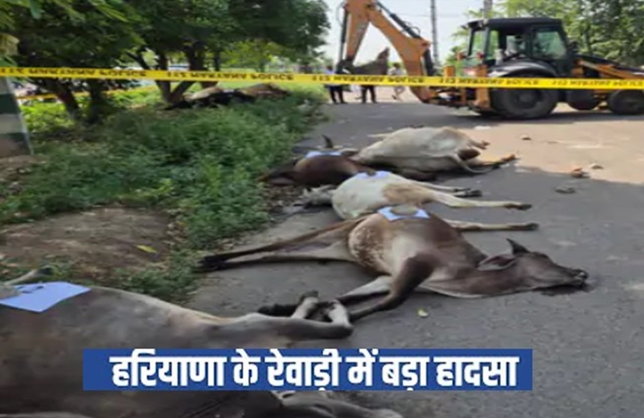 दिल्ली जयपुर हाईवे पर स्थापित एक कंपनी की ओर से छोडे जा रहे केमिकल युक्त पानी के पीने से 14 गायों की मौत हो गई