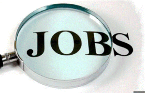 Haryana Job: इंतजार खत्म: इस दिन होगी ट्रेजरी ऑफिसर-सहायक की भर्ती के लिए परीक्षा