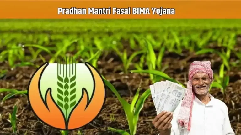 PM Fasal BIMA Yojana: हरियाणा के किसानों के लिए जरूरी खबर, फसलों के बीमा अंतिम तिथी तय
