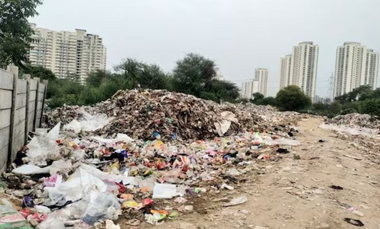 फ्रांसीसी महिला ने साइबर सीटी में सफाई व्यवस्था की खोली पोल