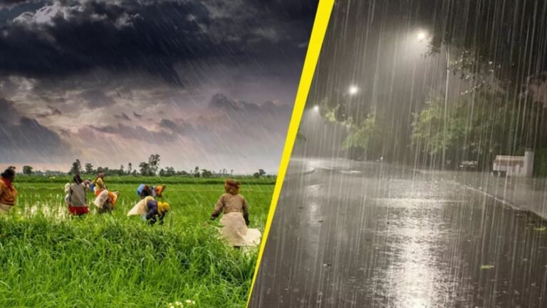 Haryana Weather Update: हरियाणा में भारी बारिश का अलर्ट! जानिए किन जिलों में रहेगी सबसे ज्यादा बारिश
