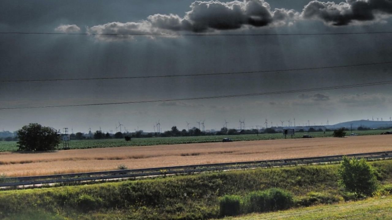 Haryana Weather News: मौसम विभाग की चेतावनी से सतर्क हुए लोग, कई जिलों में पानी भरने की स्थिति