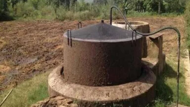 Haryana News: चौटाला गांव में गायों के गोबर से जले चूल्हे, बायोगैस की लौ ने जगाई उम्मीद