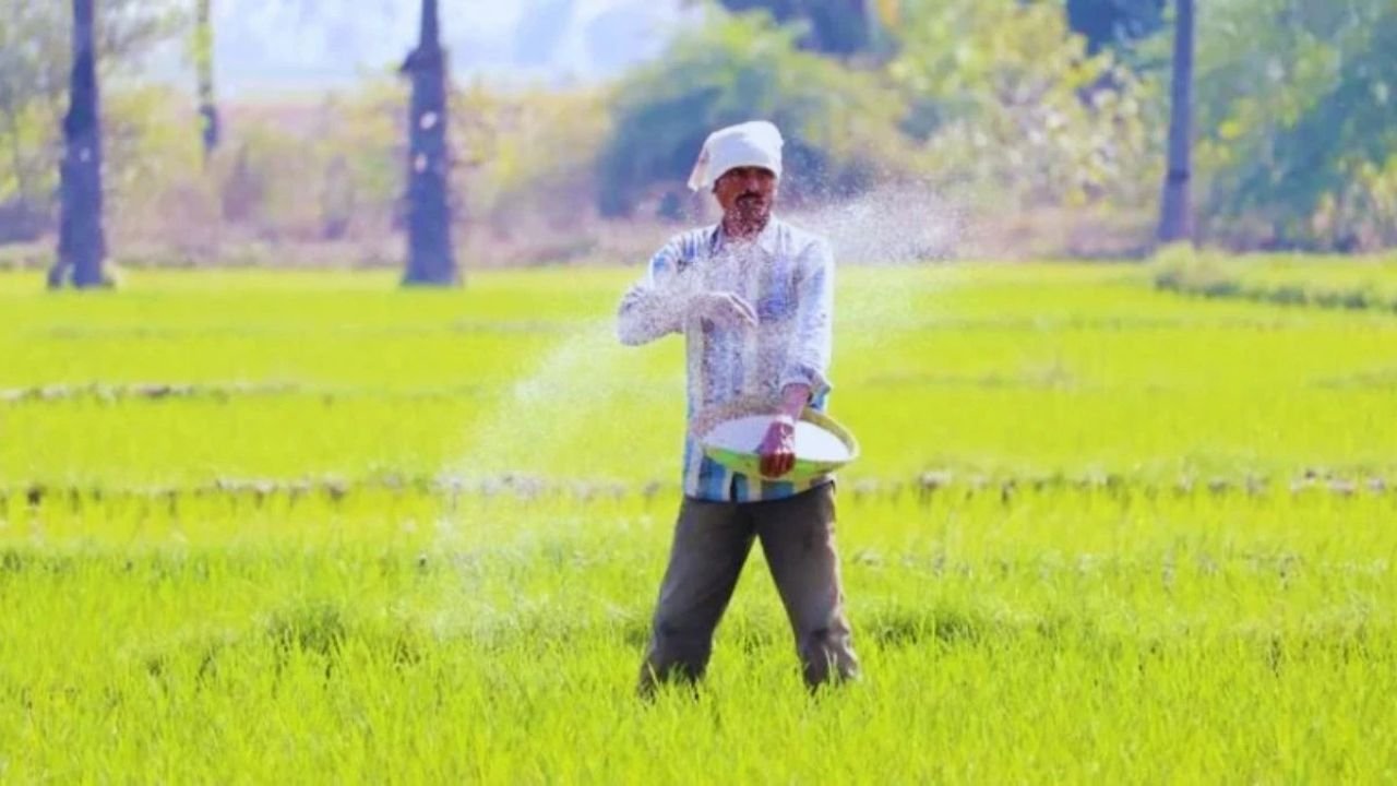 Haryana में यूरिया-डीएपी खरीदने वाले किसानों की होगी ग्राउंड जांच, सरकार ने बढ़ी बिक्री पर जताई चिंता