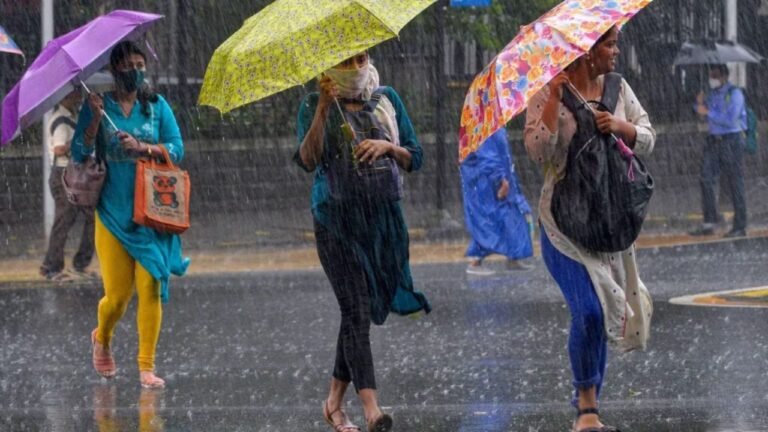 Haryana Weather News: हरियाणा में बारिश का कहर! अंबाला-यमुनानगर में यलो अलर्ट, कई जिलों में तेज बारिश की चेतावनी