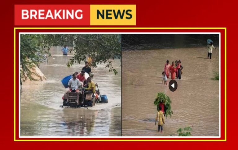 Flood in Punjab: सीएम ने किया मुआवजे का ऐलान ? सर्वे शुरू, जा​निए किसको कितना मिलेगा मुआवजा