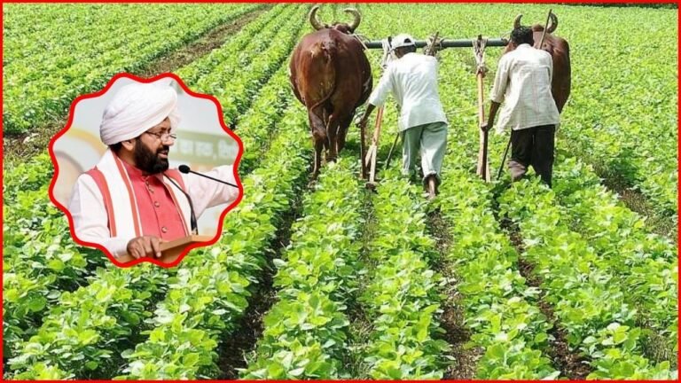 Haryana News: हरियाणा सरकार का बड़ा कदम! फसल नुकसान का मुआवजा पाने के लिए ई-क्षतिपूर्ति पोर्टल शुरू