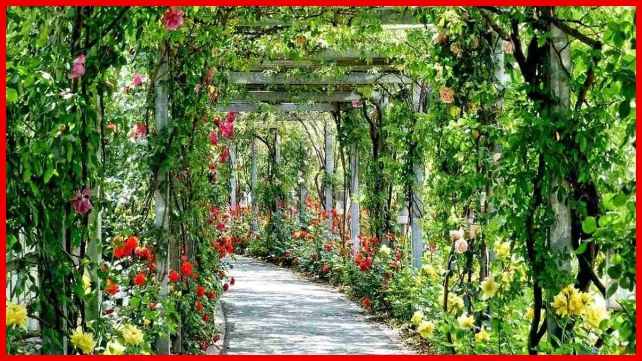 Haryana News: हरियाणा के इस गांव में बन रहा बायोडायवर्सिटी पार्क, मिलेगा पर्यटन और नेचर का शानदार संगम