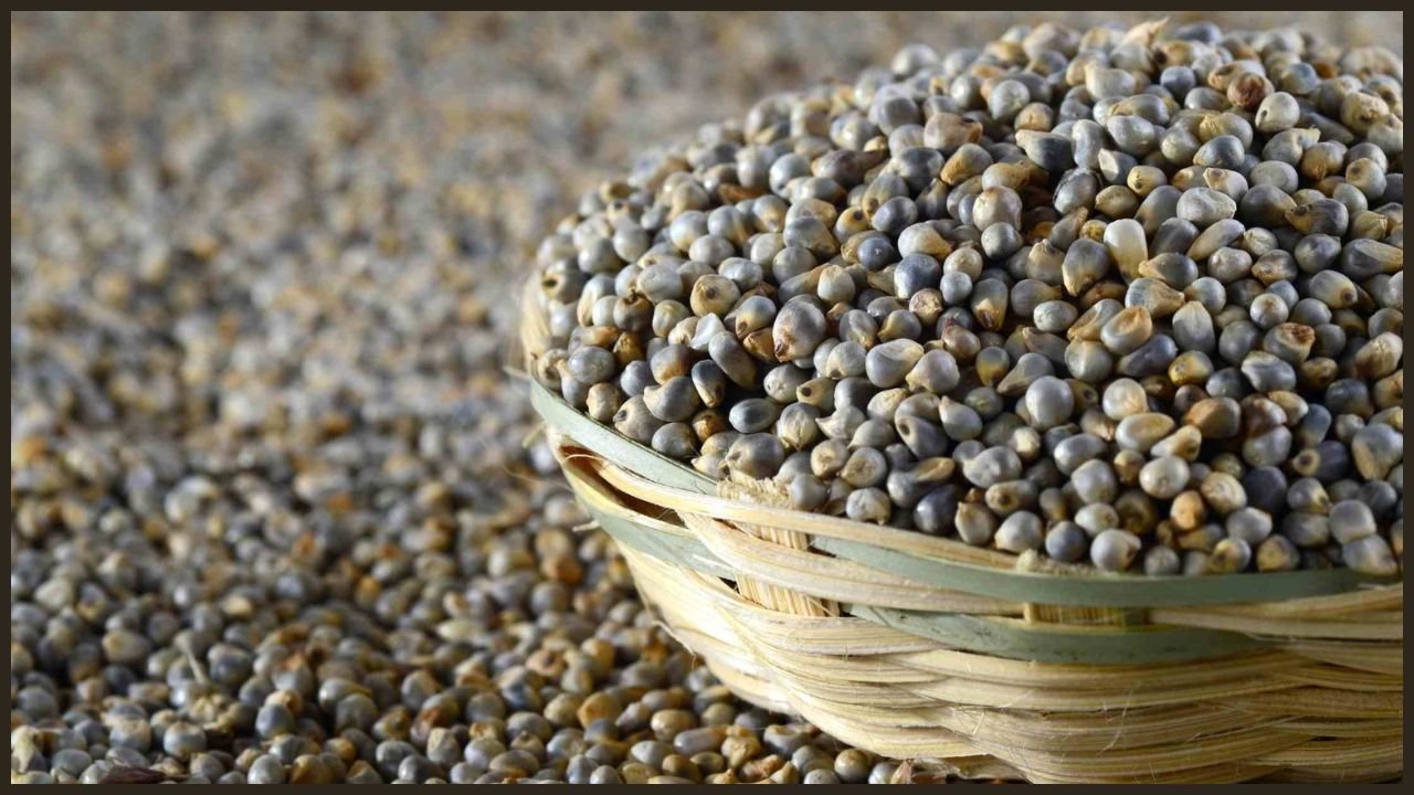Haryana News: हरियाणा सरकार का बड़ा ऐलान, 1 अक्टूबर से MSP पर खरीदे जाएंगे बाजरा और मूंगफली