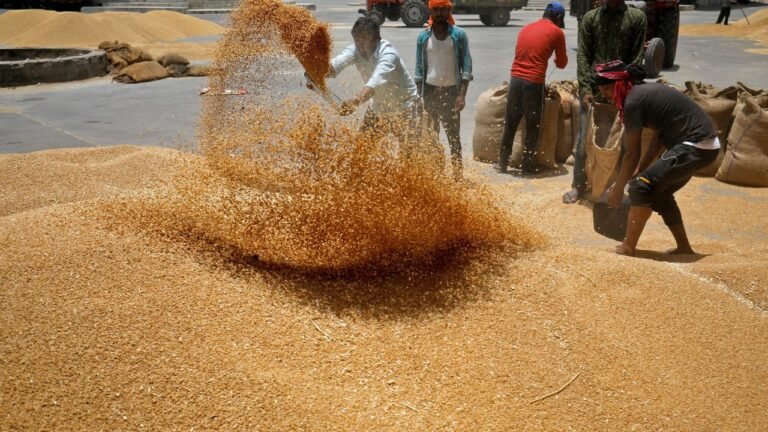 Haryana News: रेवाड़ी अनाज मंडी का बड़ा कायाकल्प शुरू, 45 साल पुराने भवन की जगह बनेगा आधुनिक तीन मंजिला कार्यालय!