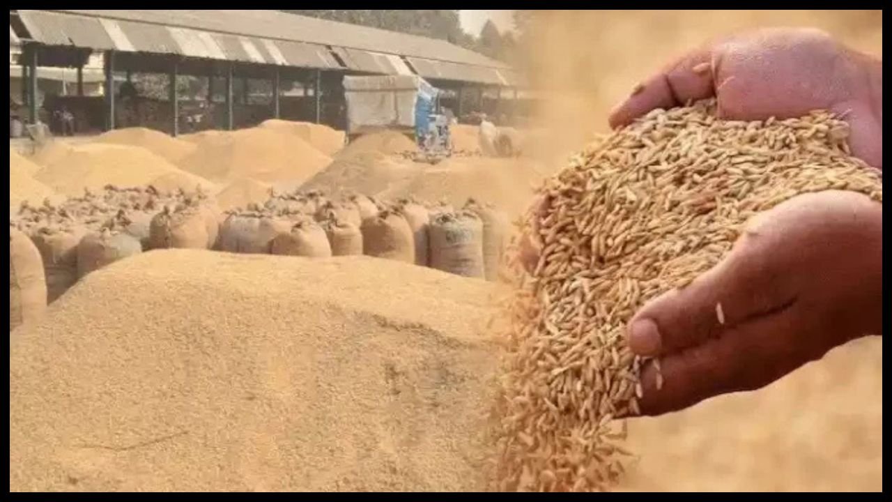 Haryana News: कैथल मंडी में धान की खरीद रुकी, पोर्टल तकनीकी खराबी से गेट पास जारी नहीं, किसान परेशान