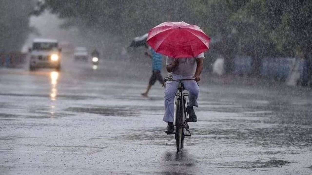 Haryana Weather News: हरियाणा में हल्की बारिश का अलर्ट, जानें आज और आने वाले दिनों का पूरा मौसम हाल