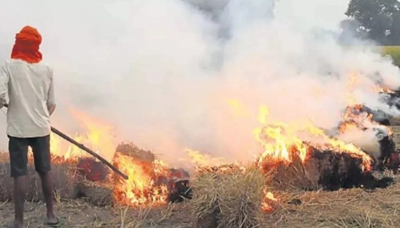 Haryana news : पराली जलाने वाले हो जाए सावधान! अब सैटेलाईट से काटे जाएंगे चालान