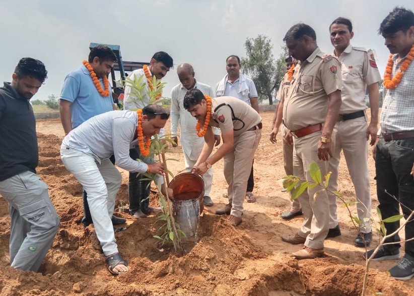थाना सेक्टर-6 धारूहेड़ा प्रभारी पीएसआई संजय ने वन विभाग की टीम के साथ मिलकर आकेड़ा मार्ग पर सडक के दोनों और 100 से ज्यादा पौधे लगाए।