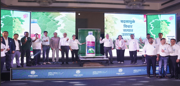 Agriculture News: Grapes and potatoes will get rid of mildew, Corteva Agriscience's new medicine is a boon for farmers