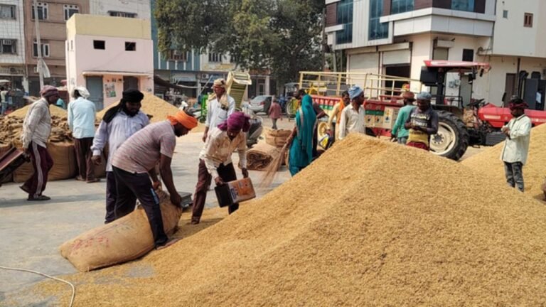 Jind रोड पर पके धान की व्यवस्था बदली, किसान अब समय पर लाएं अनाज वरना उठाने में होगा संकट!