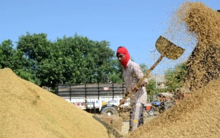Haryana News: 28 अक्टूबर को रेवाड़ी अनाज रहेगी बंद, जानिए क्या है वजह
