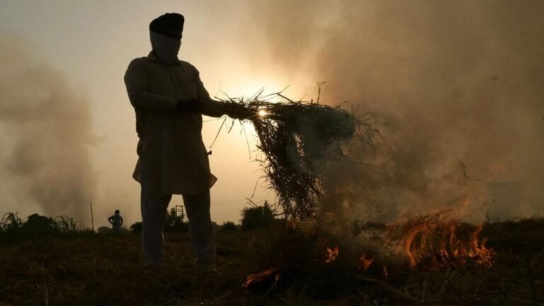 Haryana News: हरियाणा के किसान की अनूठी पहल: फसल अवशेष से कर रहा मोटी कमाई, यहां जानिए कैसे