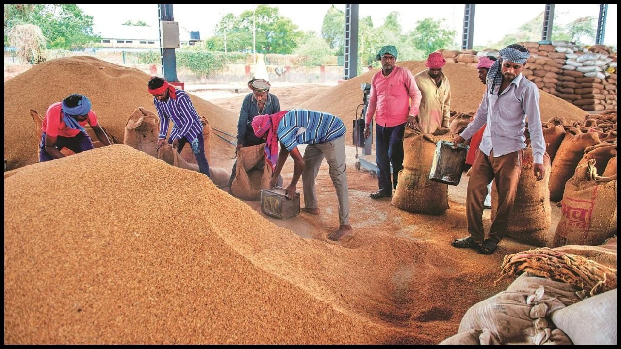 Haryana News: सोनीपत में दो सप्ताह बाद पीआर धान की सरकारी खरीद शुरू, किसानों को MSP में बढ़त और राहत मिली
