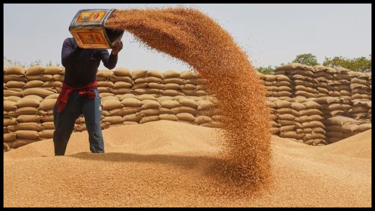 Haryana News: रादौर अनाज मंडी में फिर से शुरू होगी हैफेड राइस मिल, किसानों और व्यापारियों के लिए बड़ा राहत का संदेश