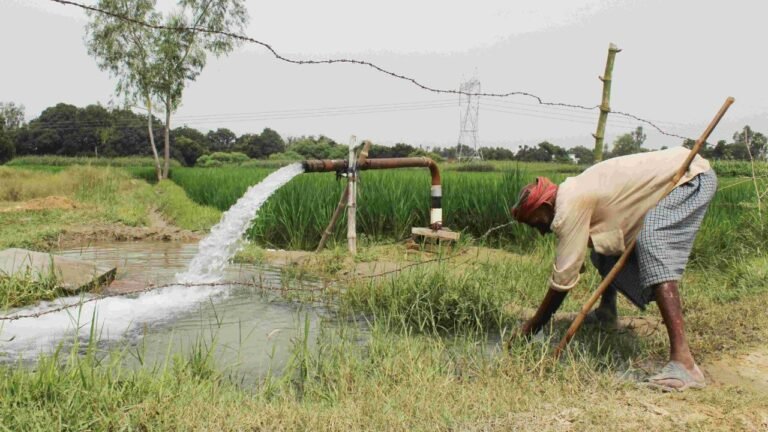 Haryana News: हरियाणा सरकार ने किसानों को बड़ी राहत दी, ट्यूबवेल बिजली बिल स्थगित, नए फसली ऋण और मुआवजे का भी ऐलान