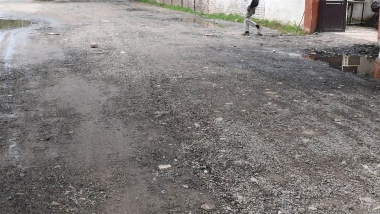 Haryana News: जर्जर गलियों की जगह अब पक्की सड़कें, फरीदाबाद में नगर निगम की महत्वाकांक्षी योजना शुरू