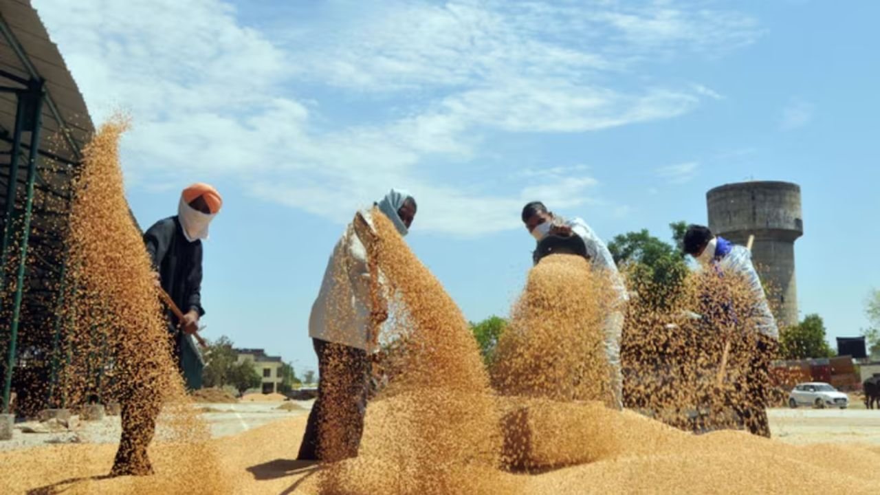 Haryana News: किसानों के खातों में हुए इतने करोड़ ट्रांसफर! हरियाणा सरकार ने दिया खरीफ सीजन का बड़ा तोहफा