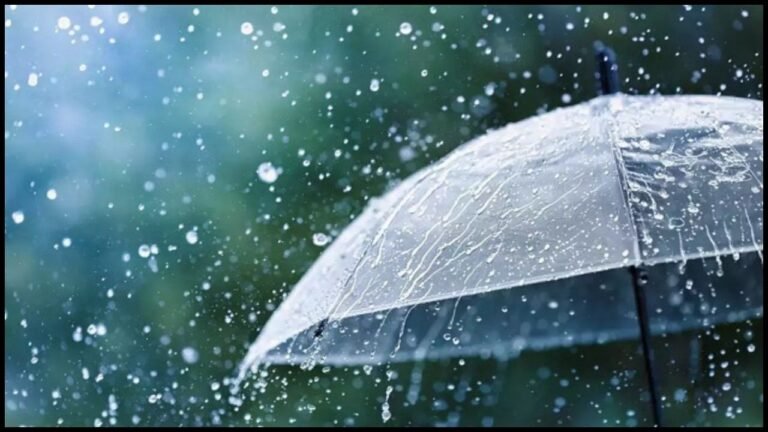 Haryana Weather: हरियाणा में मौसम ने बदला रंग, तेज बारिश के चलते कई जिलों में अलर्ट जारी, जानें अपने शहर का हाल