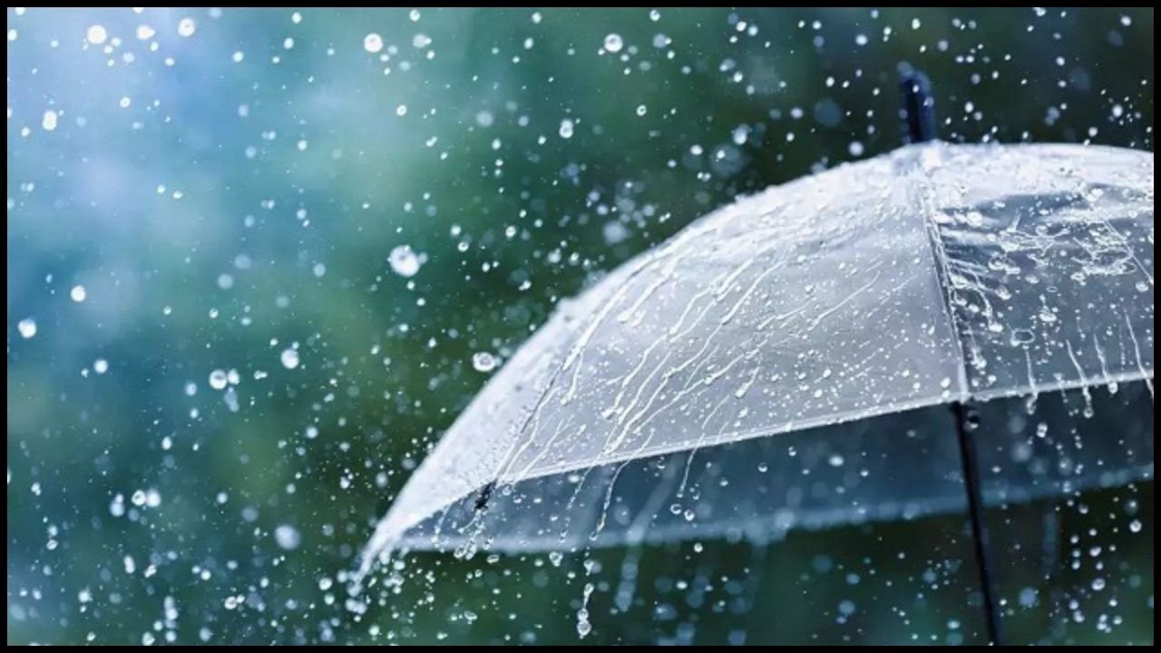 Haryana Weather: हरियाणा में मौसम ने बदला रंग, तेज बारिश के चलते कई जिलों में अलर्ट जारी, जानें अपने शहर का हाल