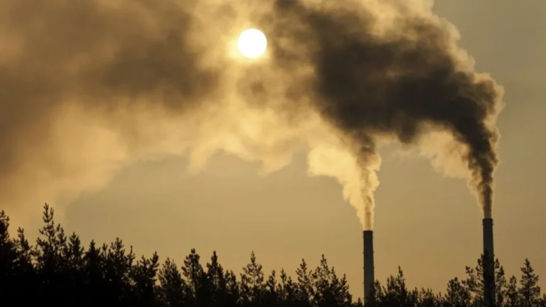 Haryana Pollution: देश की हवा खतरनाक स्तर पर, सरकार की नाकामी! CPCB रिपोर्ट में 4 साल में 13,690 शिकायतों का आंकड़ा