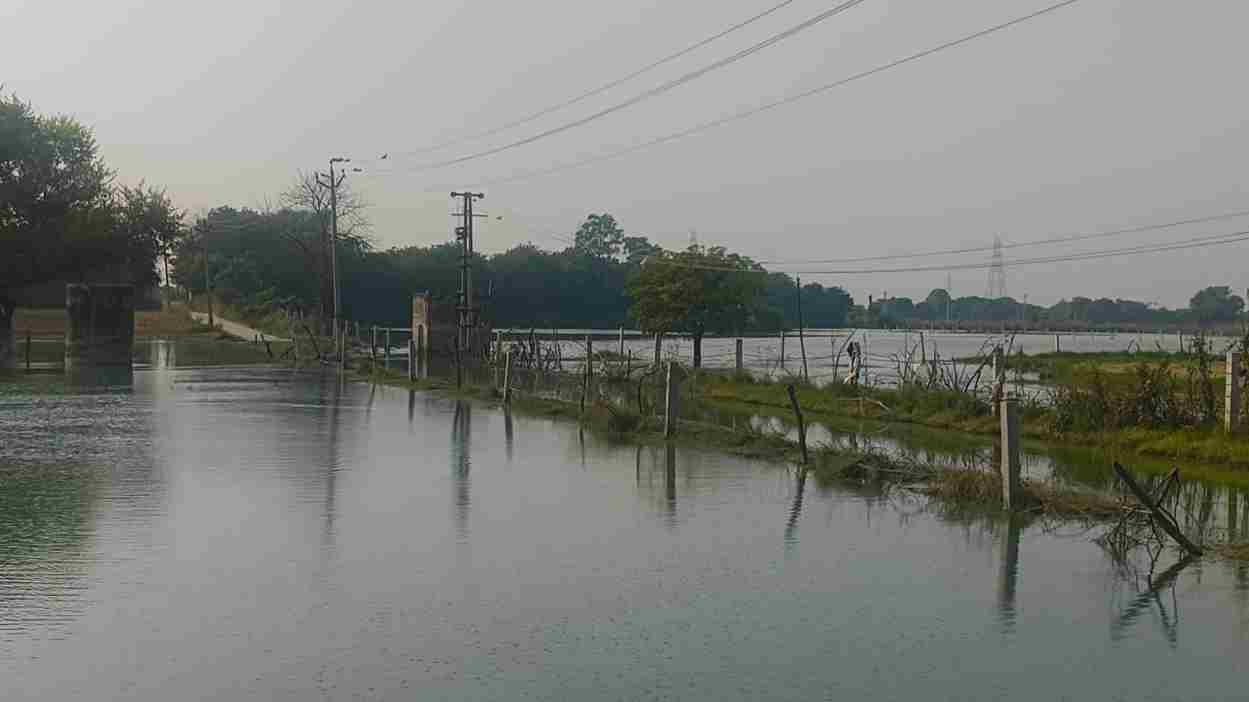 साहबी बैराज में छोड़ा गया दूषित पानी बना संकट, खलियावास के 50 एकड खेत जलमग्न