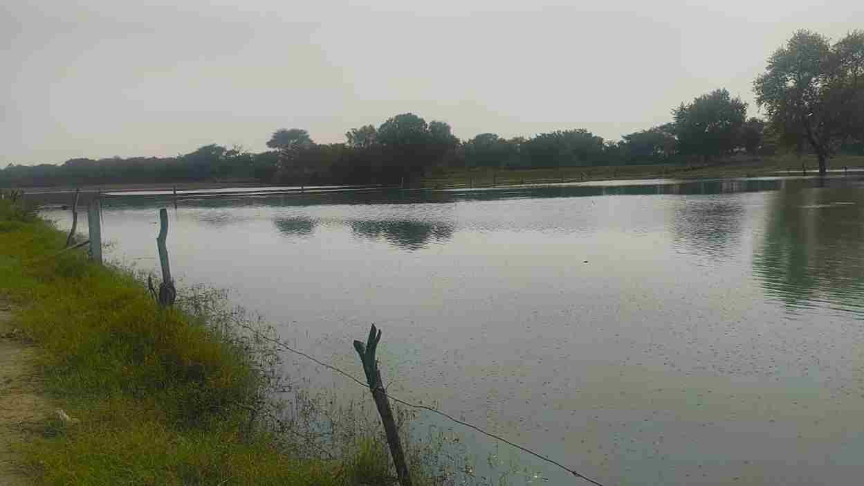 साहबी बैराज में छोड़ा गया दूषित पानी बना संकट, खलियावास के 50 एकड खेत जलमग्न