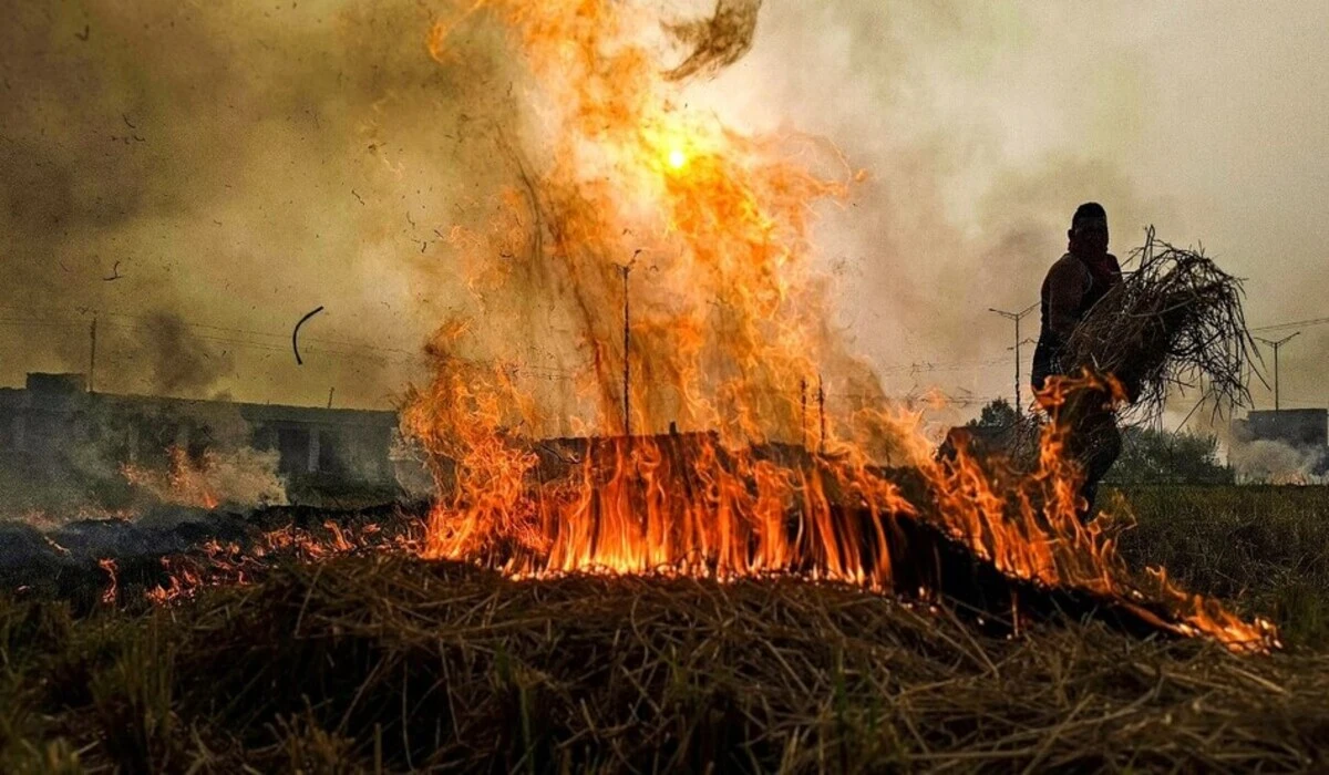 Haryana News: हरियाणा में पर्यावरण बचाने की बड़ी कामयाबी, पराली जलाने के मामले में 72% गिरावट