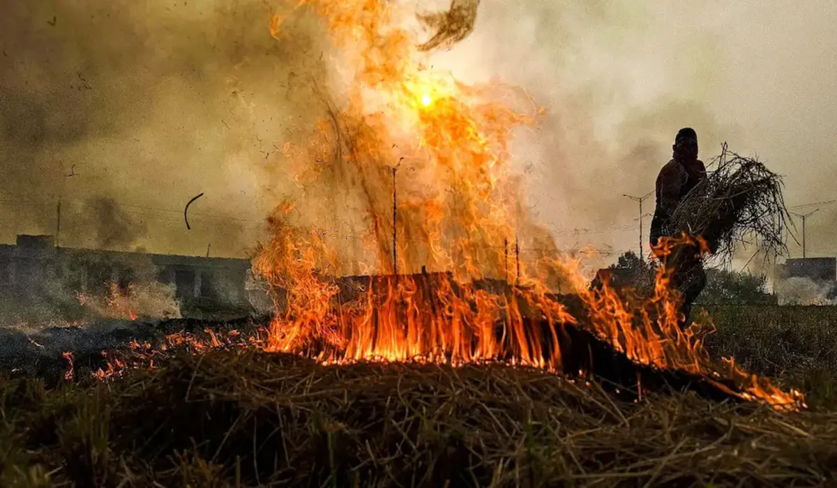 Haryana News: पराली की आग ने हाईवे पर मचाई दहशत, प्रशासन ने किया रूट डायवर्ट, लोगों की परेशानियां बढ़ीं