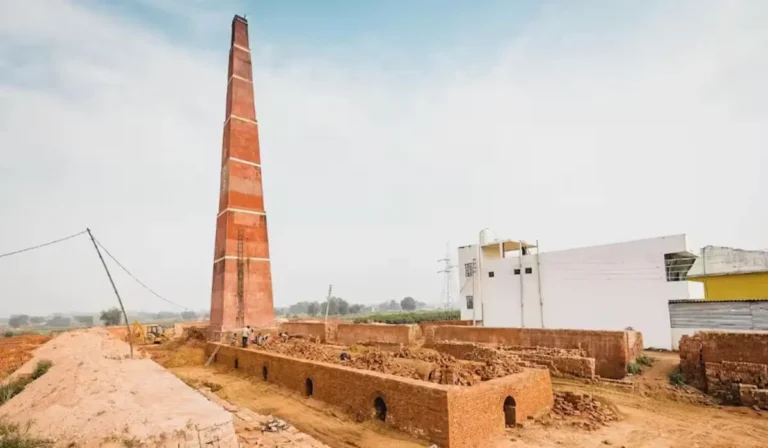 Haryana News: हरियाणा के ईंट भट्टों में पराली पेलेट का उपयोग अनिवार्य, प्रदूषण पर मिलेगी बड़ी राहत