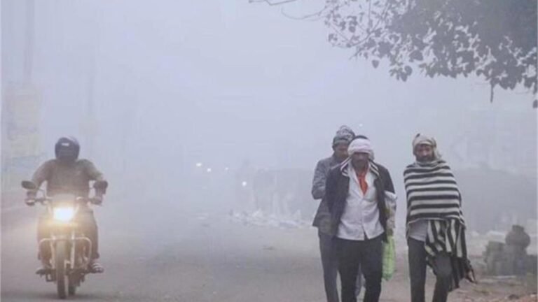 Haryana Weather Update: ठंड ने बढ़ाई रफ्तार, हरियाणा के 12 शहरों में पारा 8 डिग्री से नीचे, जानें मौसम अपडेट