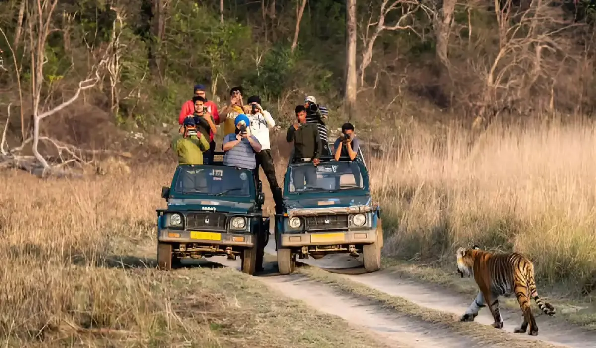 Haryana News: हरियाणा में तैयार हो रहा विश्व का सबसे बड़ा सफारी पार्क, जानें कितना खास होगा यह प्रोजेक्ट