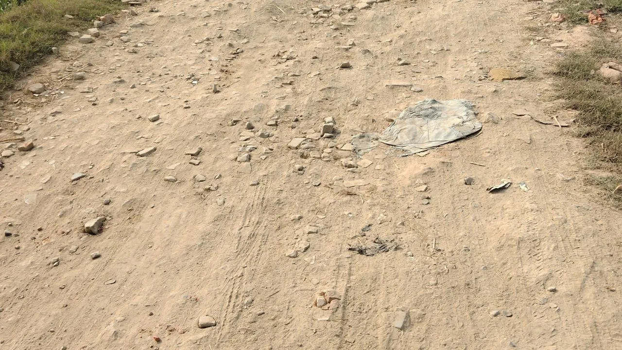 Haryana News: नगर परिषद बैठक के बाद भी नहीं बनी सहमति, मुख्य बाज़ार सड़क निर्माण फिर टला