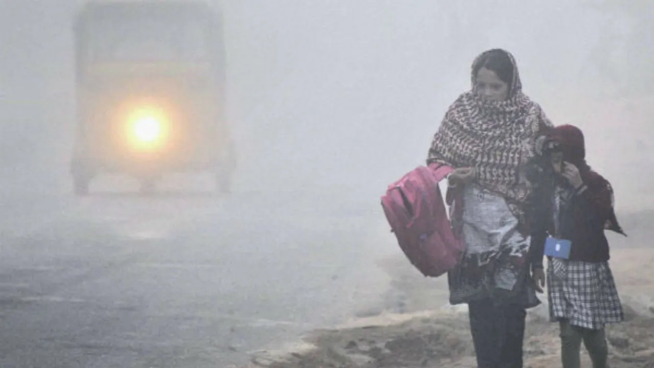 Haryana Weather: मौसम ने बदला मिज़ाज! पहली धुंध ने ढका इलाका, क्या दिसंबर के अंत में पड़ेगी और कड़ाके की ठंड?