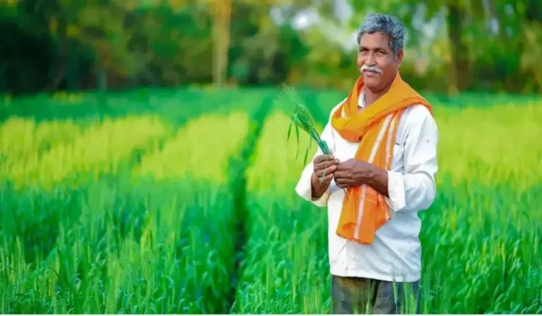 Haryana News: किसानों के लिए राहत की खबर, सरकार हर साल देगी भारी आर्थिक सहायता, जानिए पूरी योजना की डिटेल