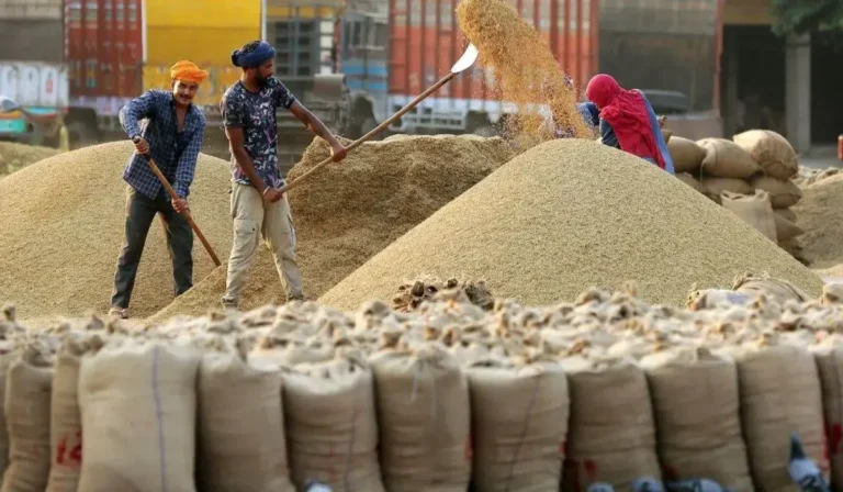 Haryana News: अनाज मंडी में बासमती की कीमतों में बढ़ोतरी, गोहाना के किसानों को मिली बड़ी राहत