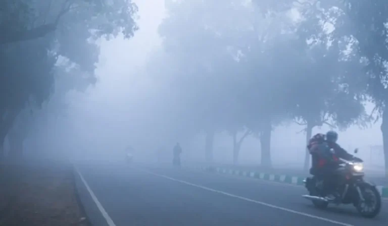 Haryana Weather Update: हरियाणा में ठंड का प्रकोप, ये शहर रहा सबसे ठंडा, IMD ने दी चेतावनी