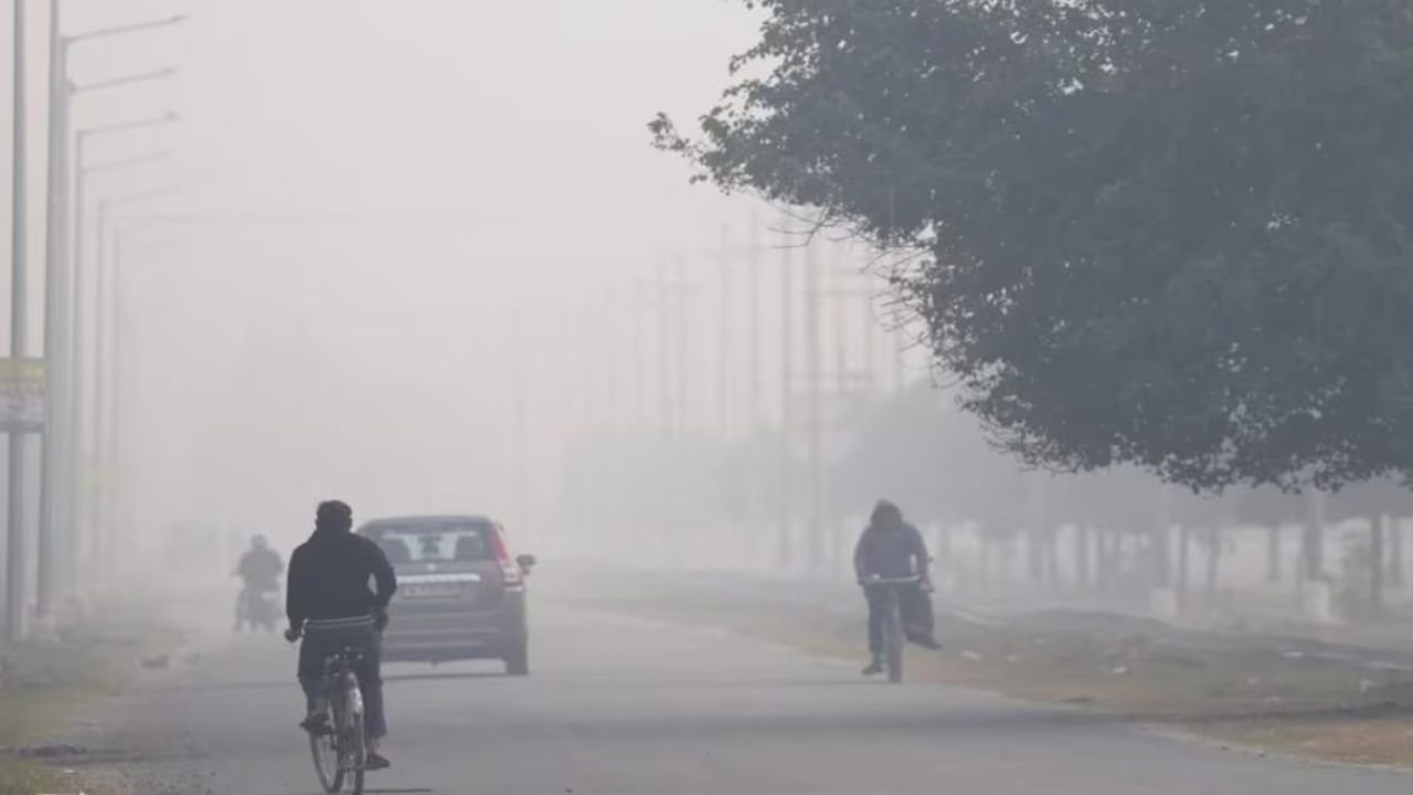 Haryana Weather Update: पश्चिमी विक्षोभ के कारण हरियाणा के छह जिलों में येलो अलर्ट जारी, ठंड से बचाव के लिए रखें सावधानी