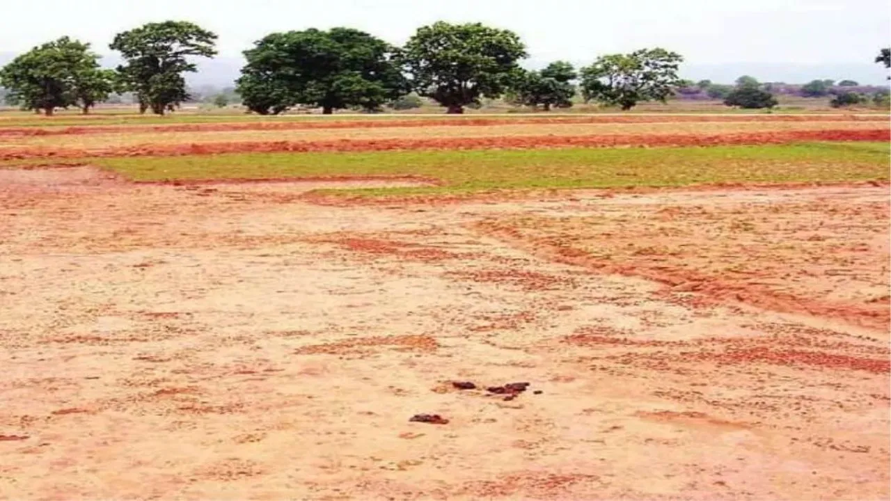 Gurugram: राष्ट्रीय से अंतरराष्ट्रीय खेलों तक का सफर, गुरुग्राम के इस शहर में बनने वाले स्टेडियम ने खेलप्रेमियों को चौंकाया