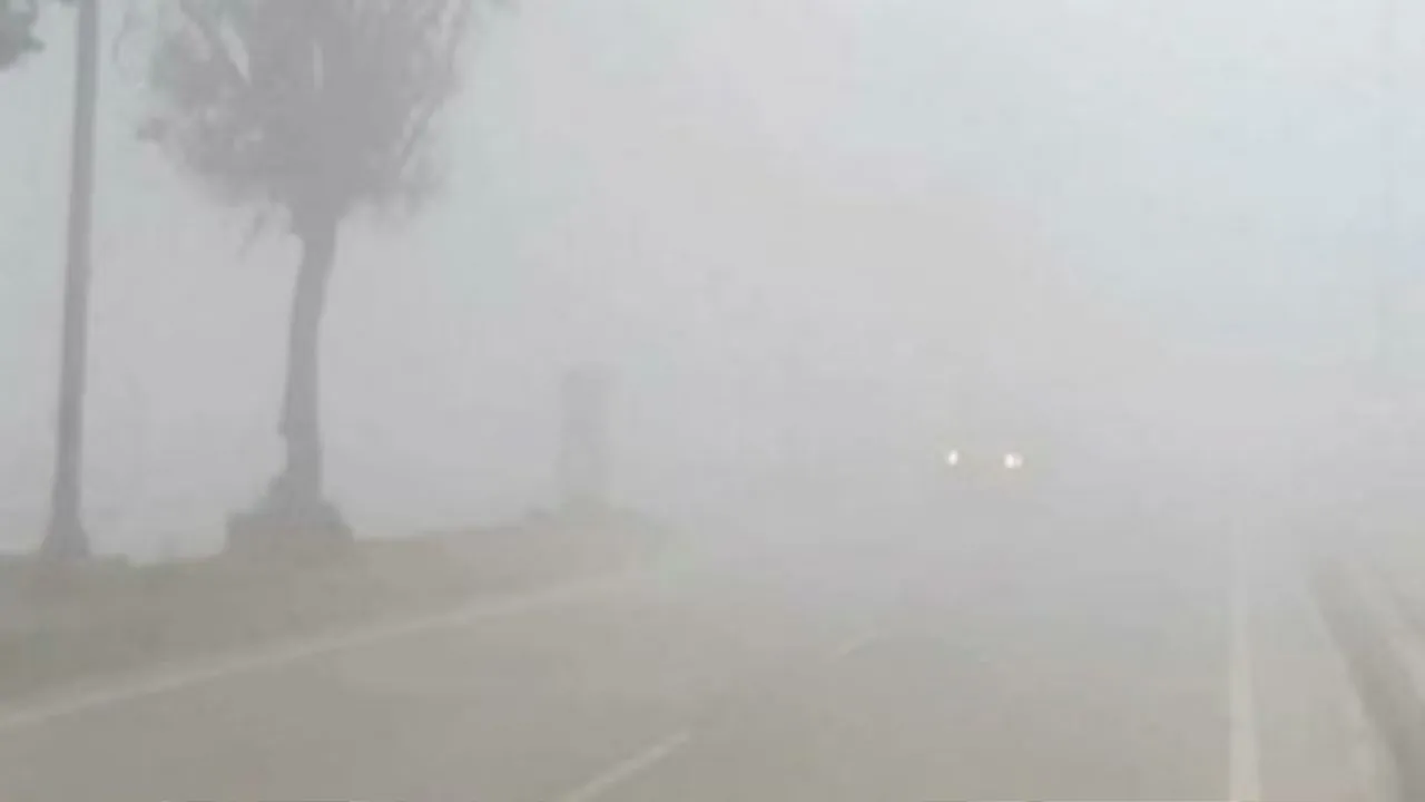 Haryana Weather: लेन नियम तोड़ते ट्रक क्या छोटे वाहन चालकों की जिंदगी रोज खतरे में डाल रहे हैं?