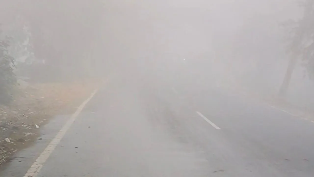 Haryana Weather: कोहरे की चादर में लिपटा यमुनानगर, नेशनल हाईवे पर ट्रैफिक रेंगता नजर आया