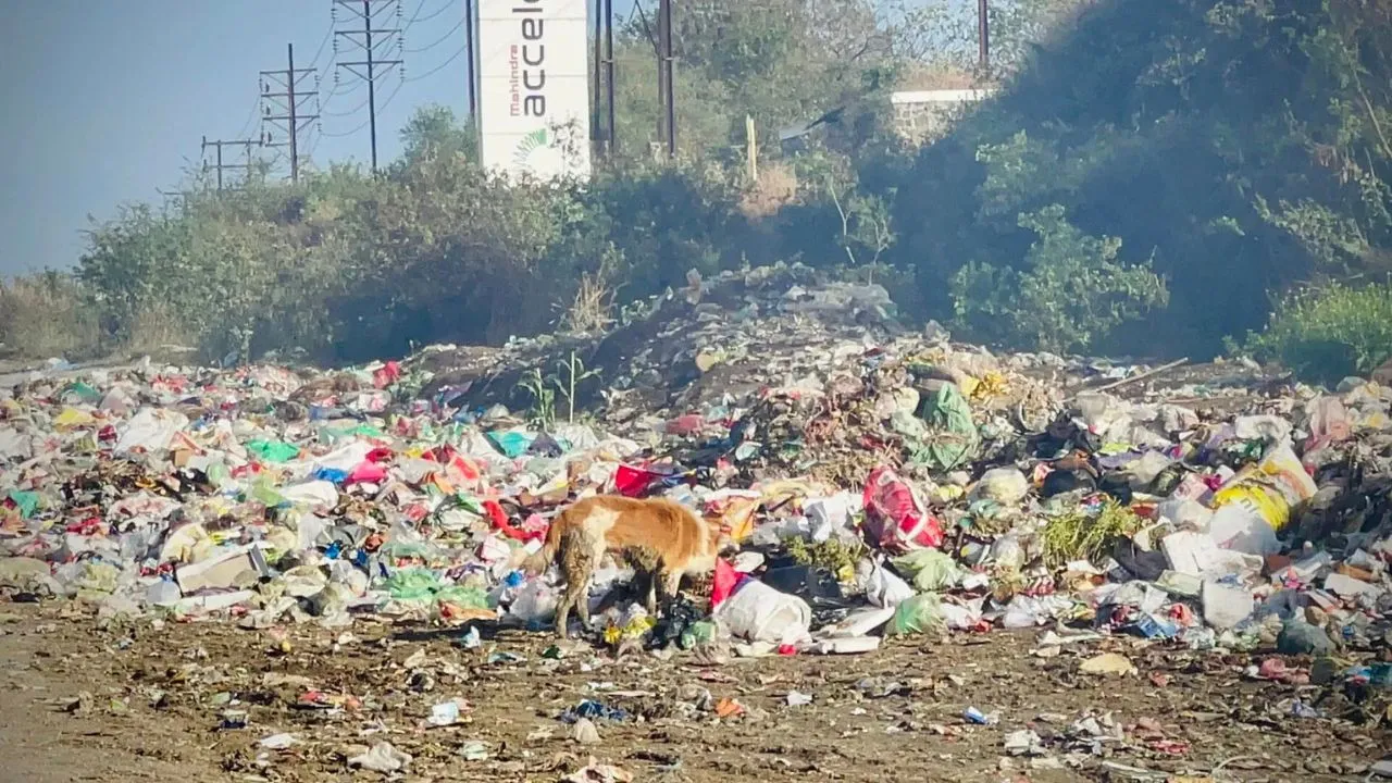 Rewari: मलबे की अराजकता से शहर बदसूरत, आम नागरिकों पर जुर्माना, ठेकेदारों पर कार्रवाई क्यों नहीं?