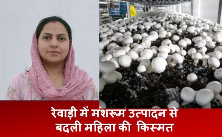 Best Business Idea: रेवाड़ी में मशरूम उत्पादन से बदली महिला की  किस्मत, मोटी कमाई, इतनी महिलाओं को दिया रोजगार