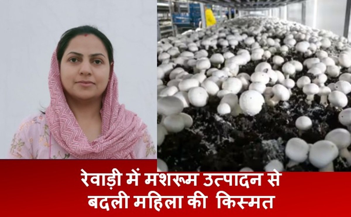 रेवाड़ी में मशरूम उत्पादन से बदली महिला की किस्मत, मोटी कमाई, इतनी महिलाओं को दिया रोजगार
