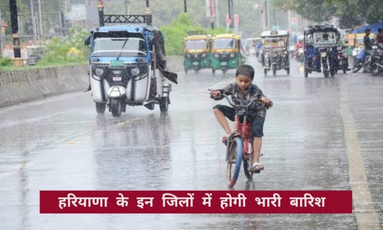 हरियाणा मौसम अपडेट! इन जिलों में आज आंधी तूफान के साथ होगी बारिश, कई जगह गिरेंगे ओले, देखें अपडेट